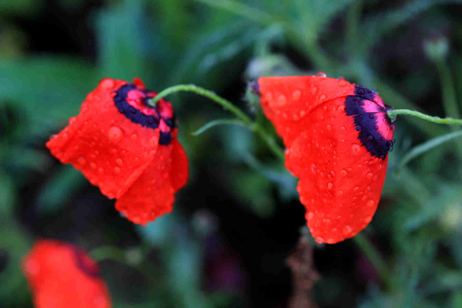 050C8943_.jpg