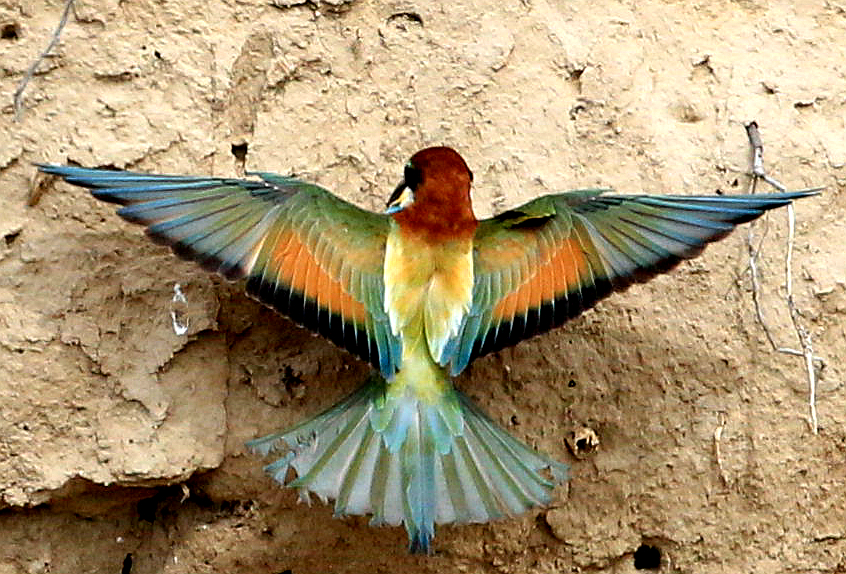 BL9K3830_.jpg