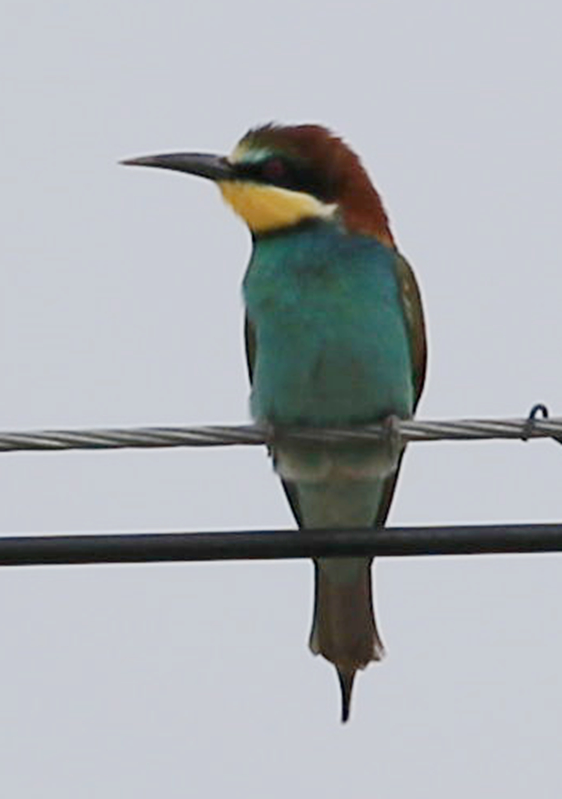 BL9K3466__.jpg