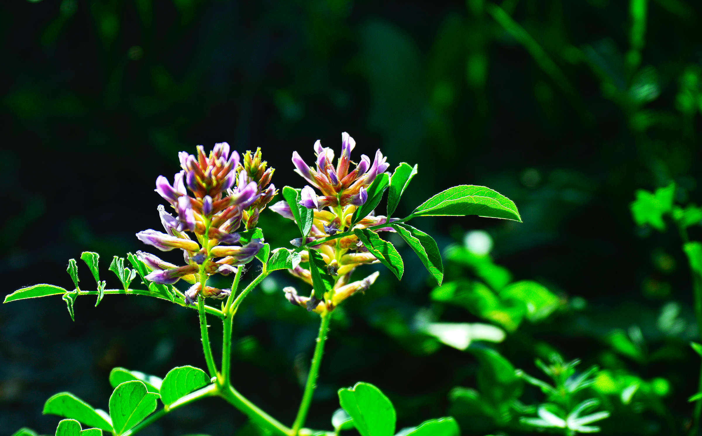 ޱ_HDR2.jpg