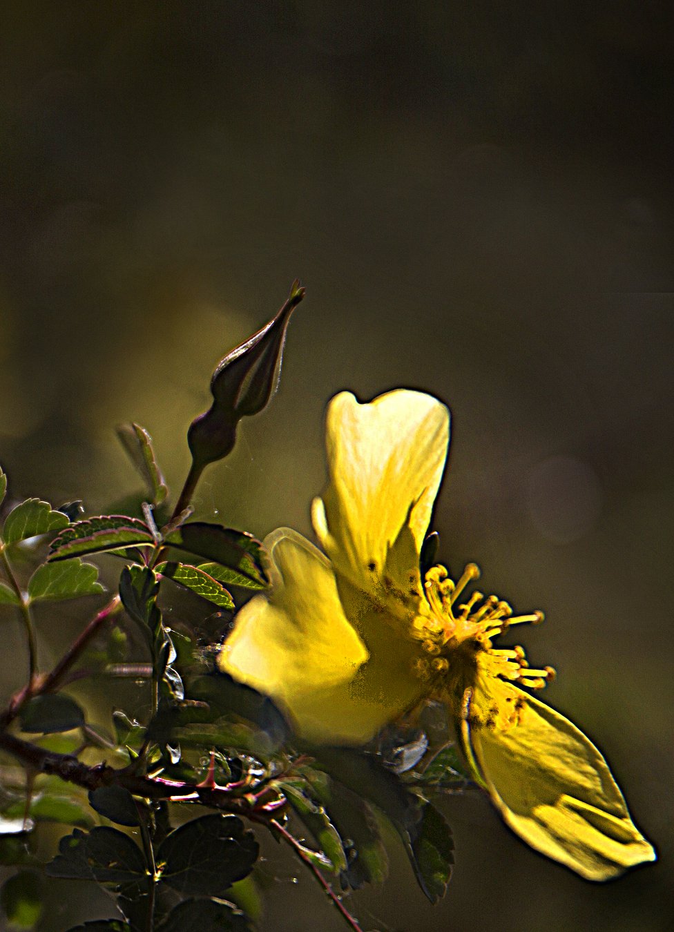 IMG_3391QA.jpg