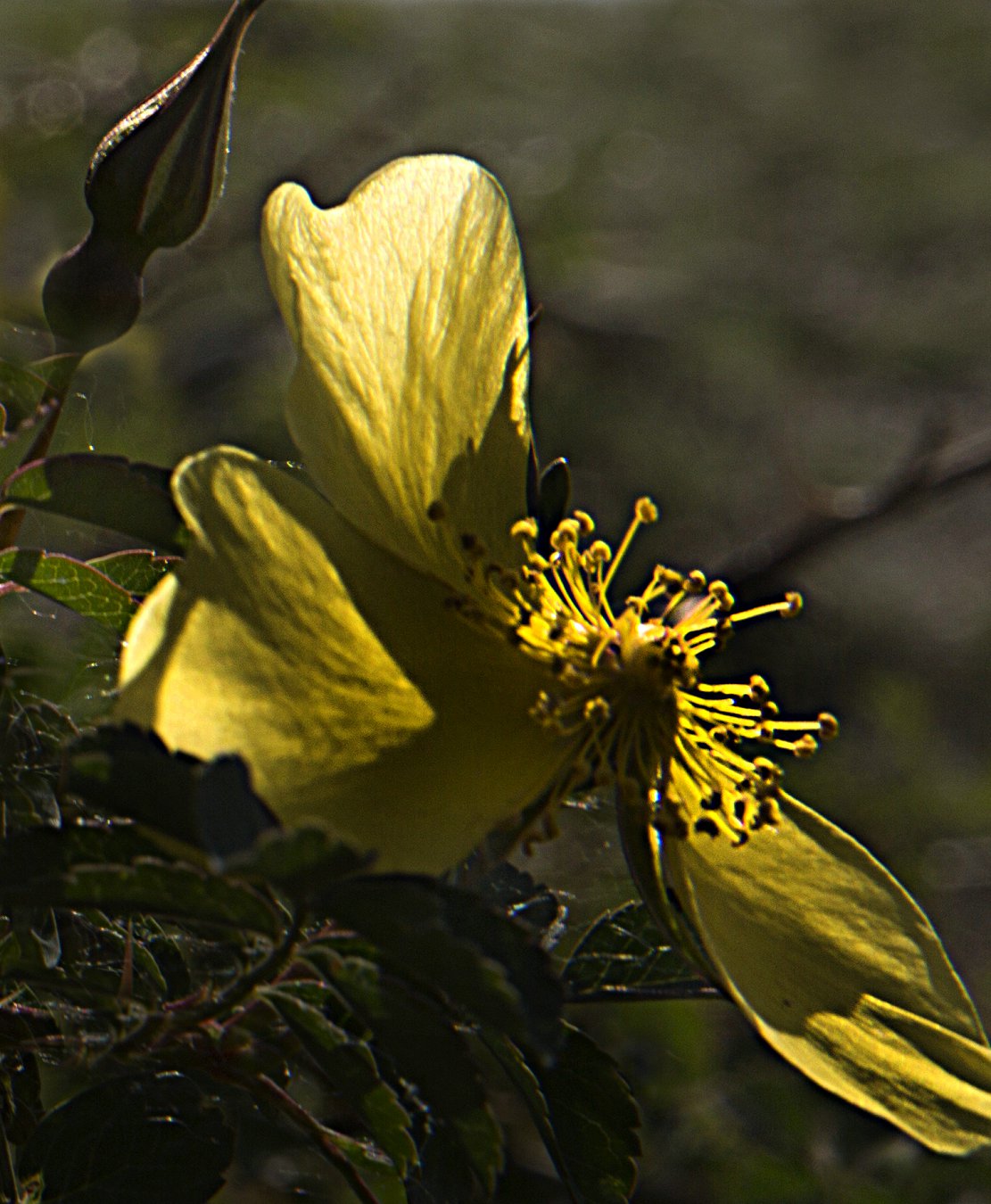 IMG_3389A.jpg