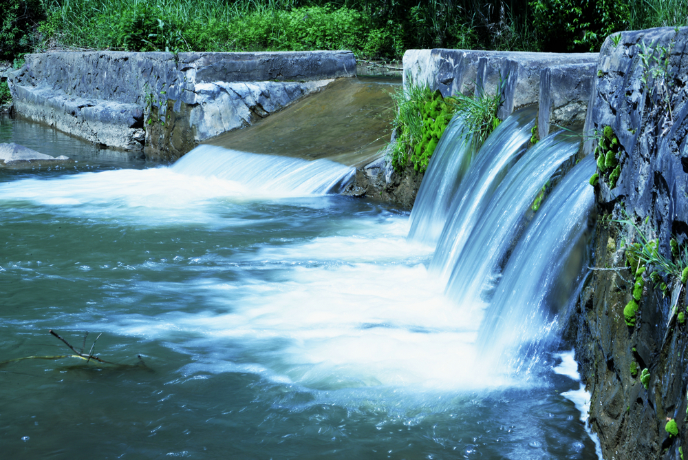 _DSC8826_.JPG