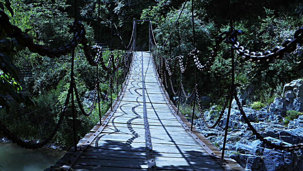 _DSC8834_.JPG