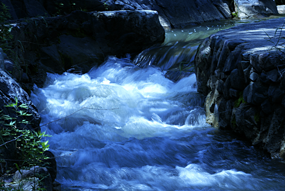 _DSC8879_.JPG
