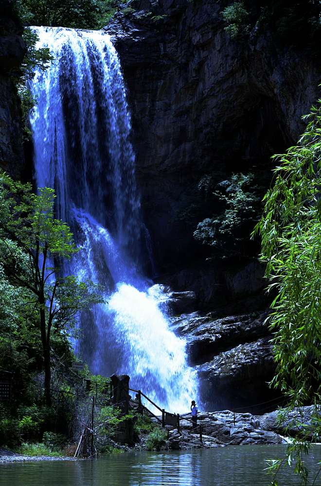 _DSC8987_.JPG