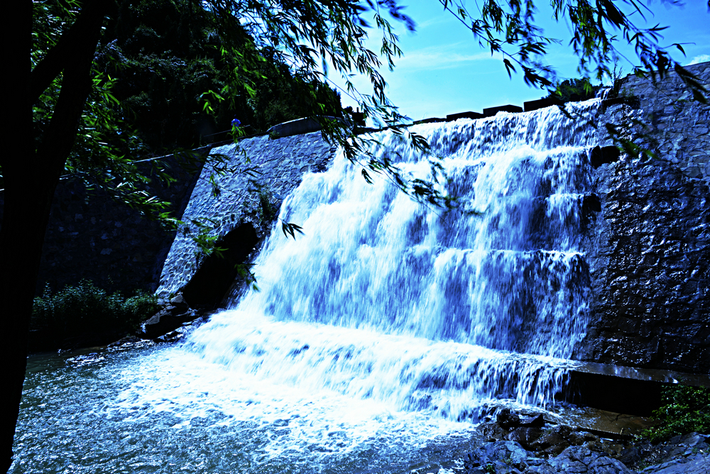 _DSC9049_.JPG