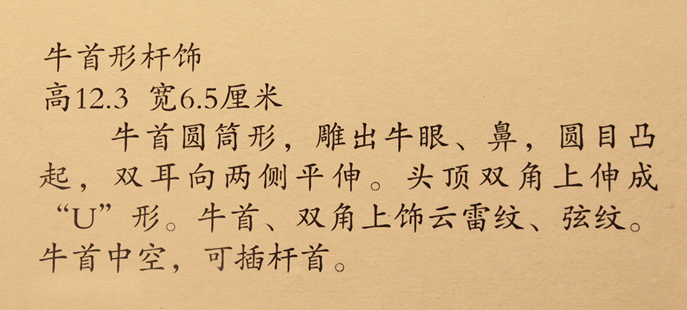IMGL6069.jpg