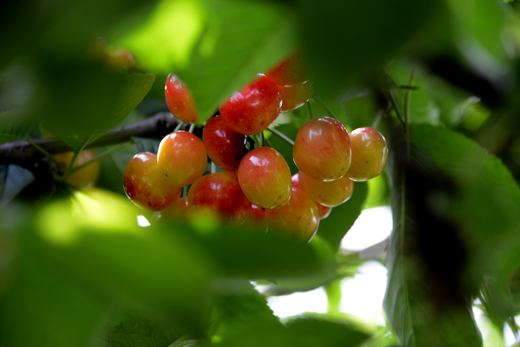 _DSC8273-.jpg
