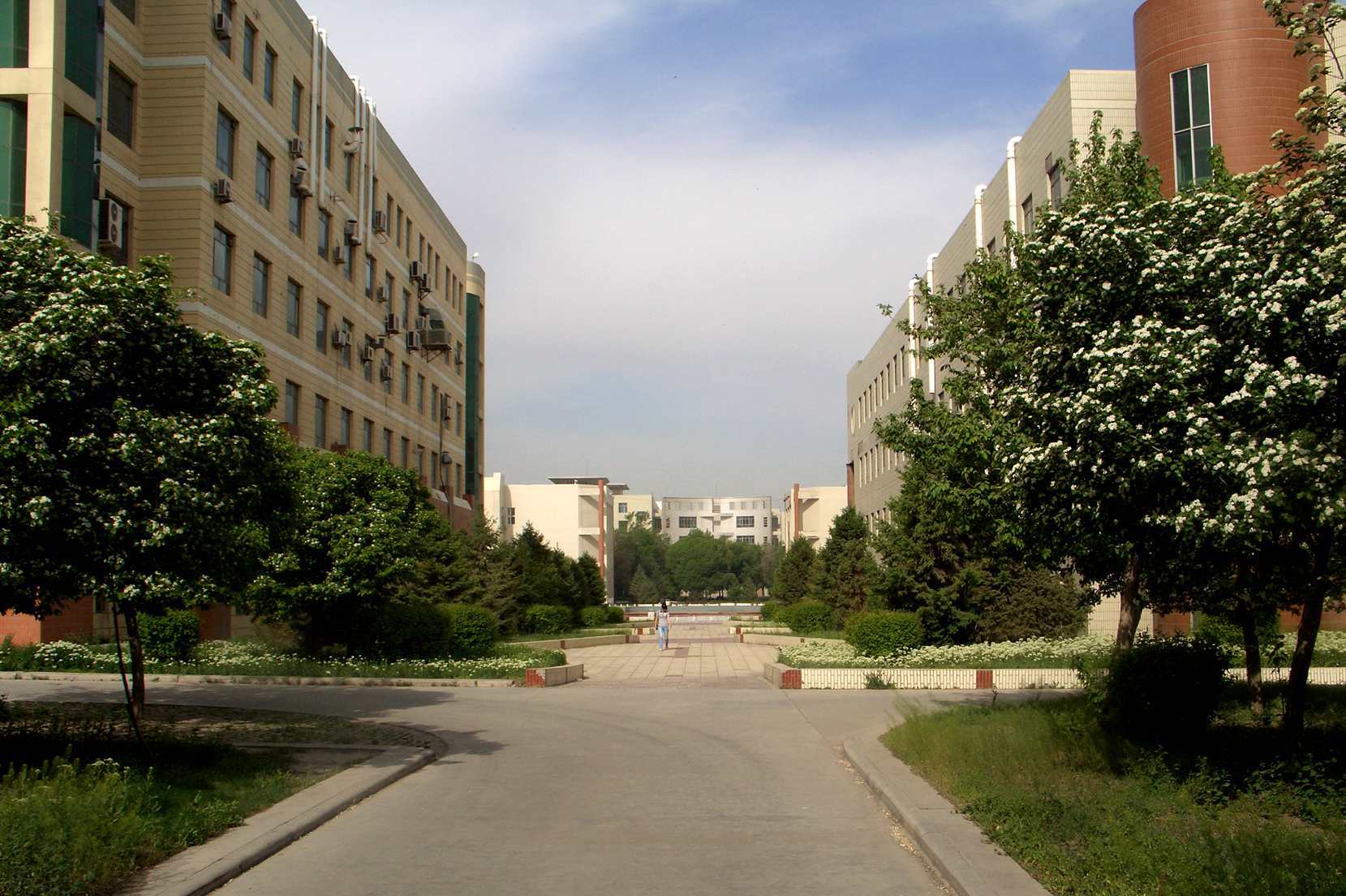 CIMG1083__.jpg