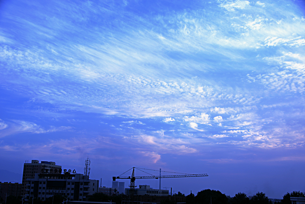 _DSC9138_.JPG