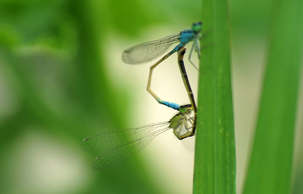 DSC_1670.JPG