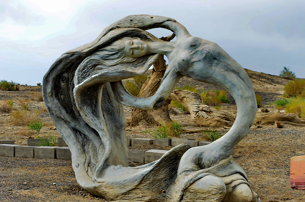 DSC_6036-1.jpg