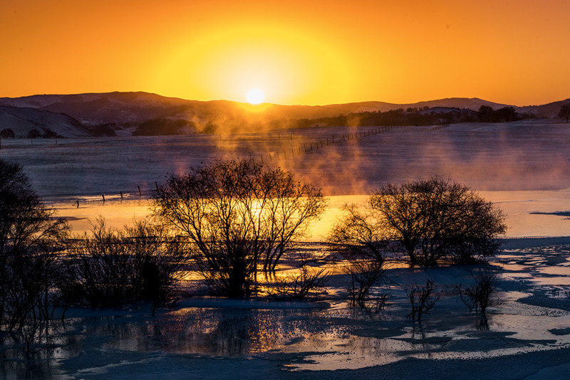 DSC_2896-cc.jpg
