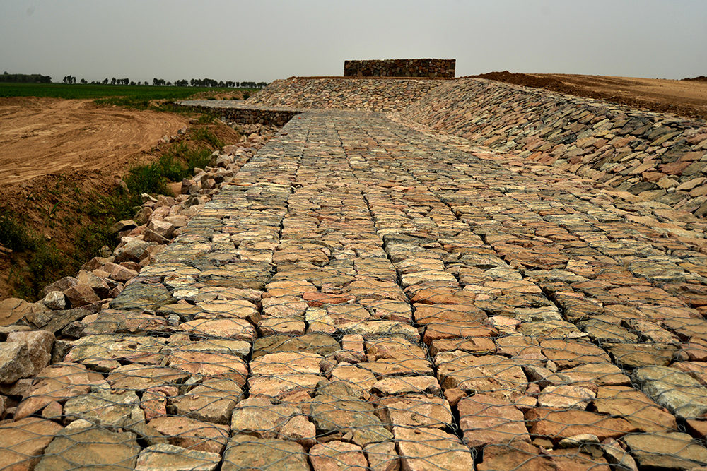 DSC_0922.JPG