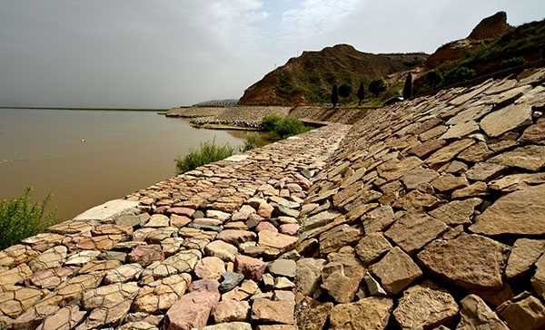DSC_0901.JPG