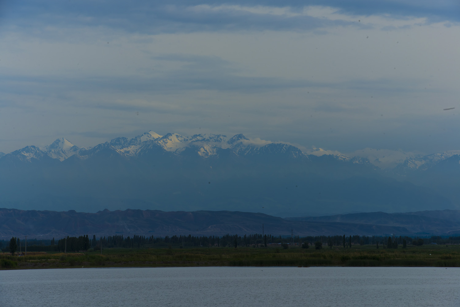 _DSC9314.JPG