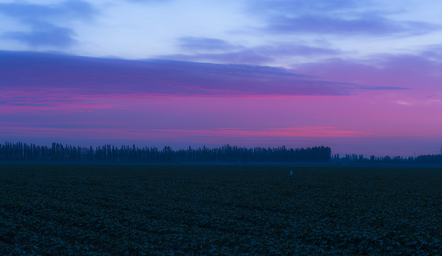 _DSC9541.JPG
