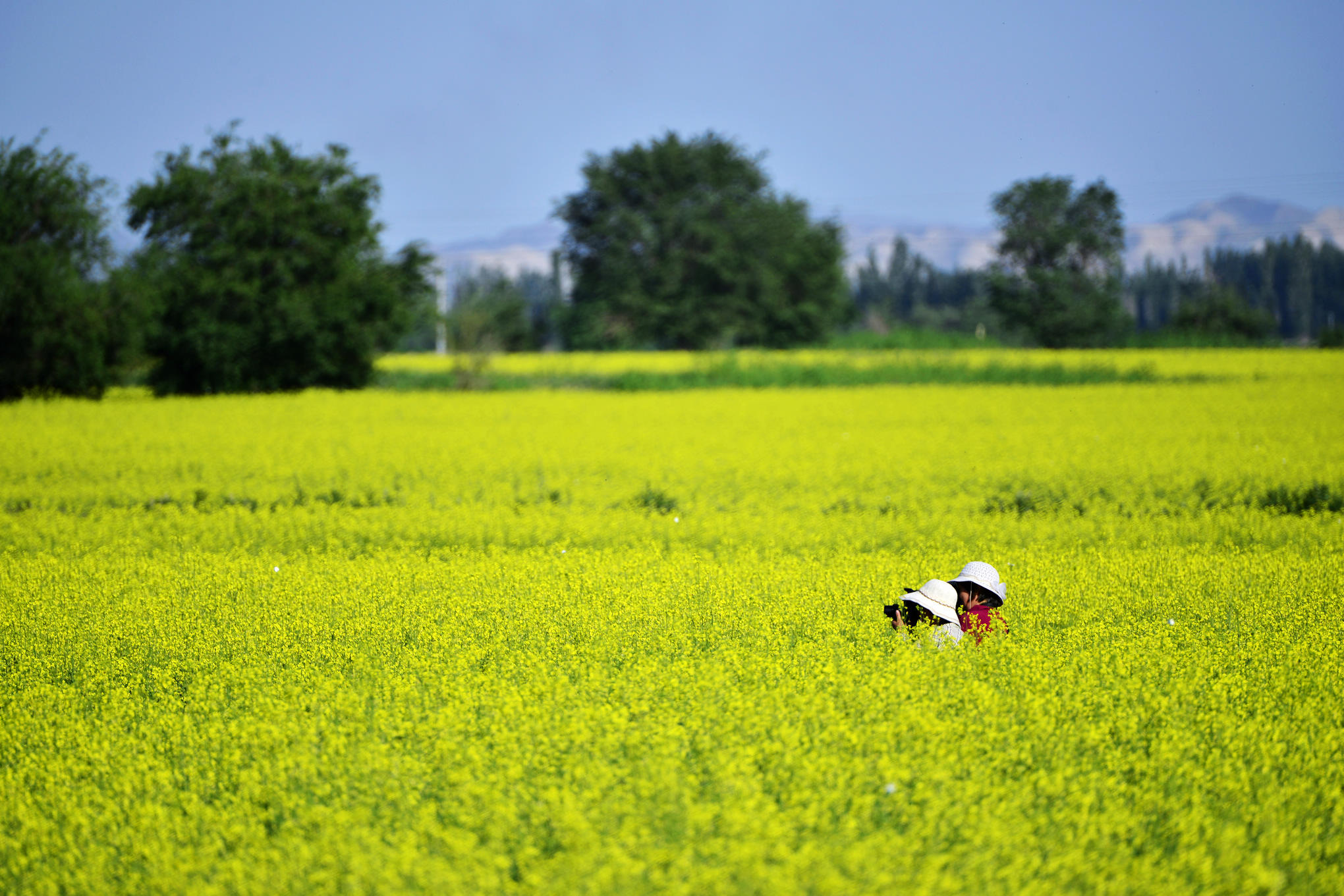 nEO_IMG__DSC8786.jpg