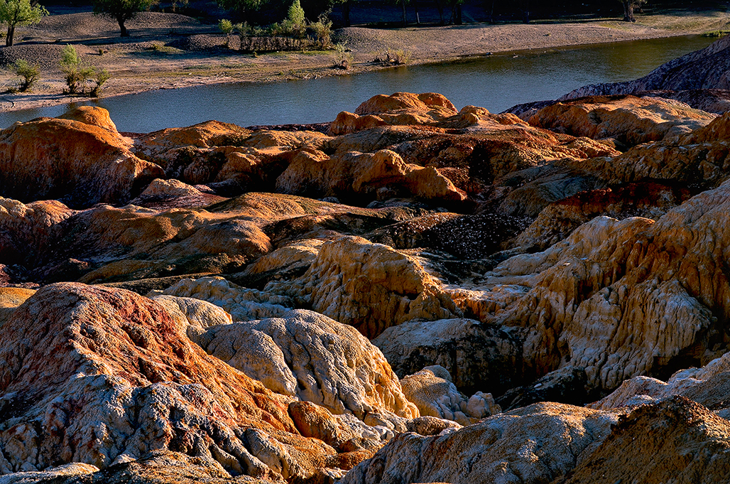 DSC_5628-1.jpg
