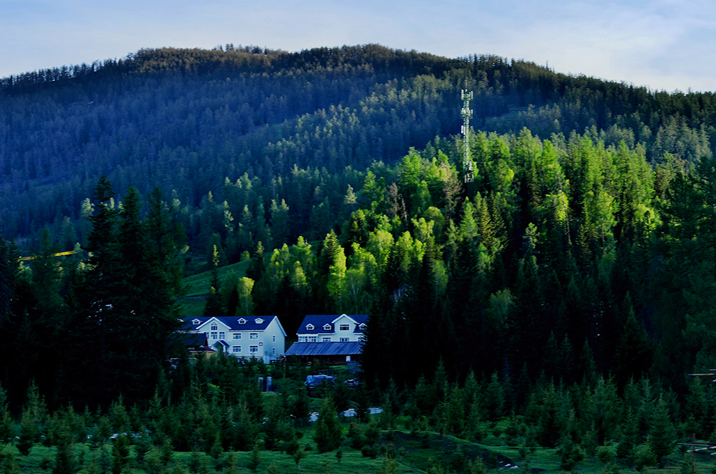 DSC_5883-1.jpg