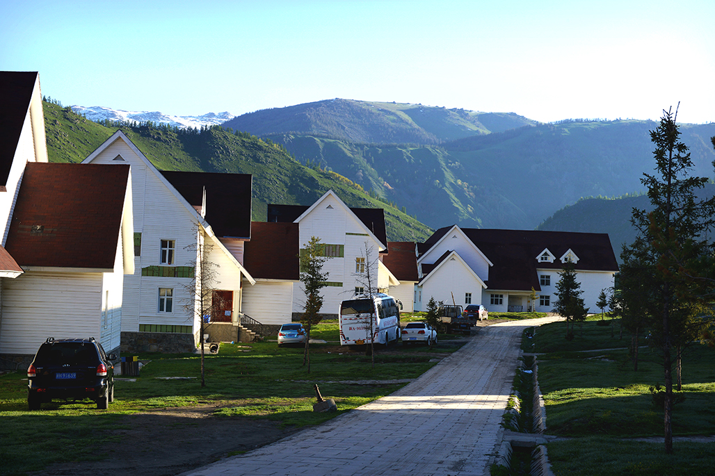 DSC_1368-1.jpg