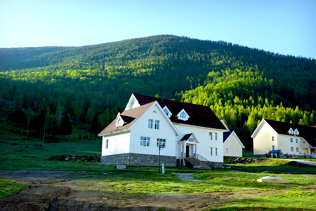 DSC_1378-1.jpg