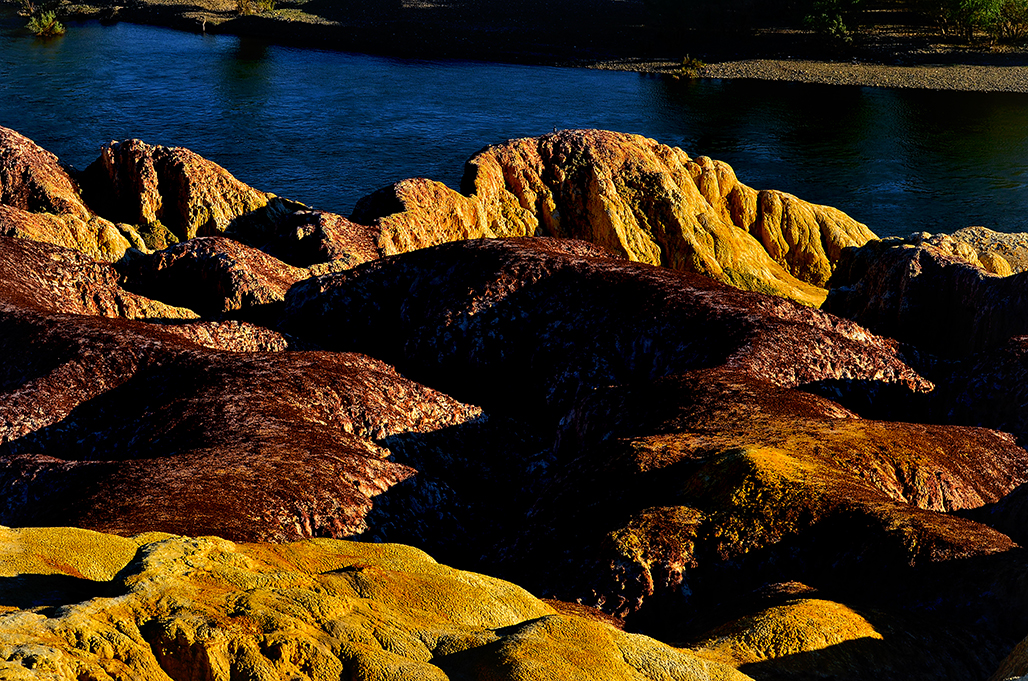 DSC_5624-1.jpg