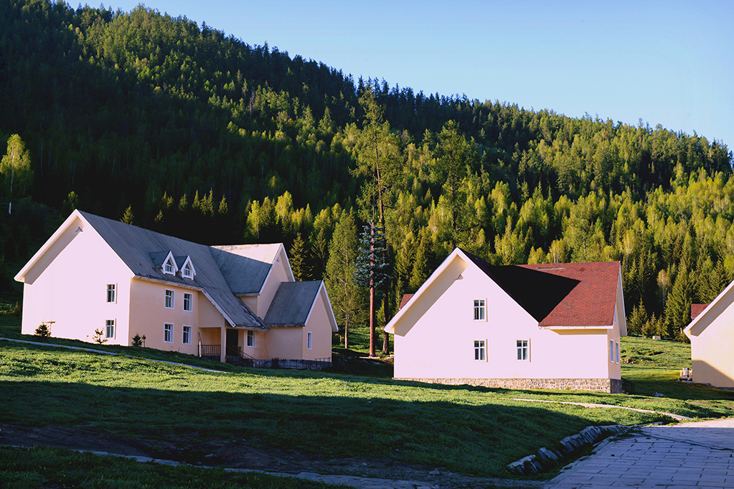 DSC_1385-1.jpg