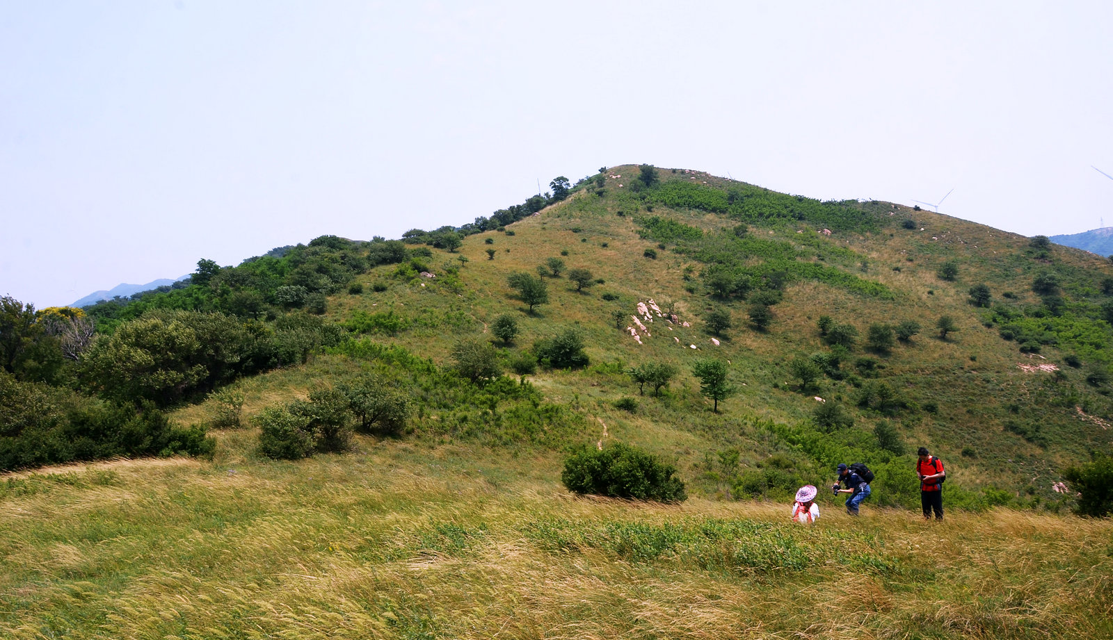 DSC_4963.JPG