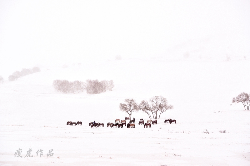 dsc_1179-cc-1-xc1.jpg