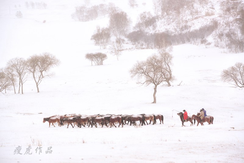 dsc_1115-cc-1-xc1.jpg