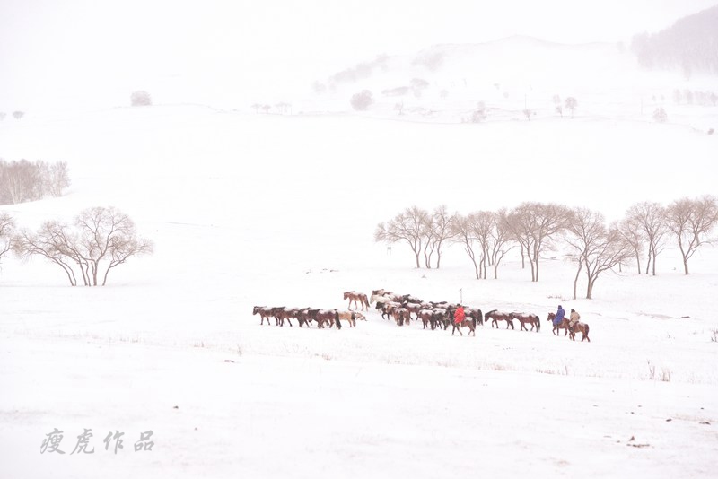 dsc_1117-cc-1-xc1.jpg