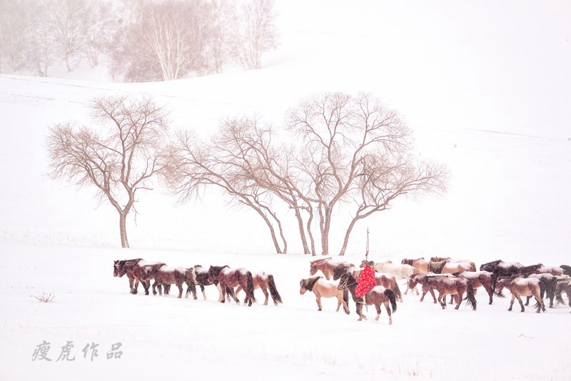 dsc_1119-cc-1-xc1.jpg
