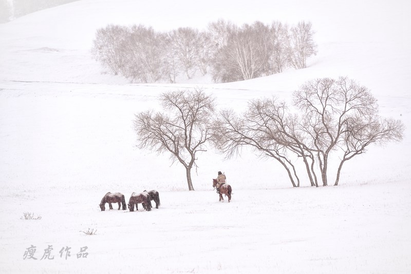 dsc_1129-cc-1-xc1.jpg