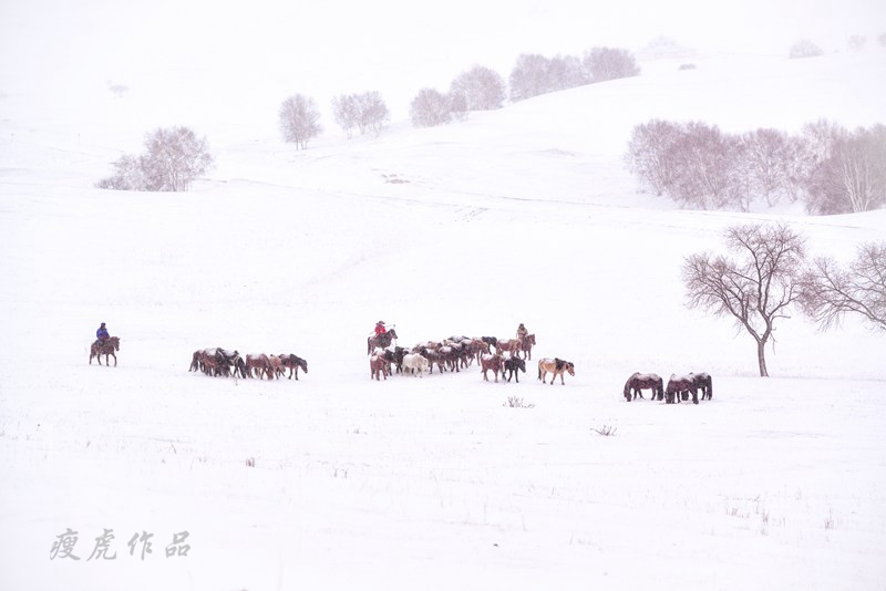 dsc_1134-cc-1-xc1.jpg