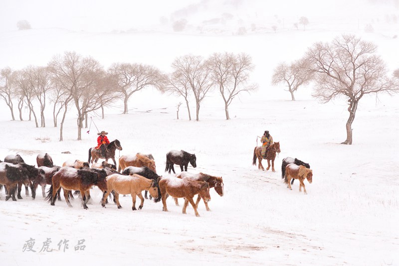 dsc_1139-cc-1-xc1.jpg