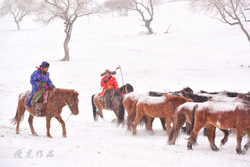 dsc_1148-cc-1-xc1.jpg
