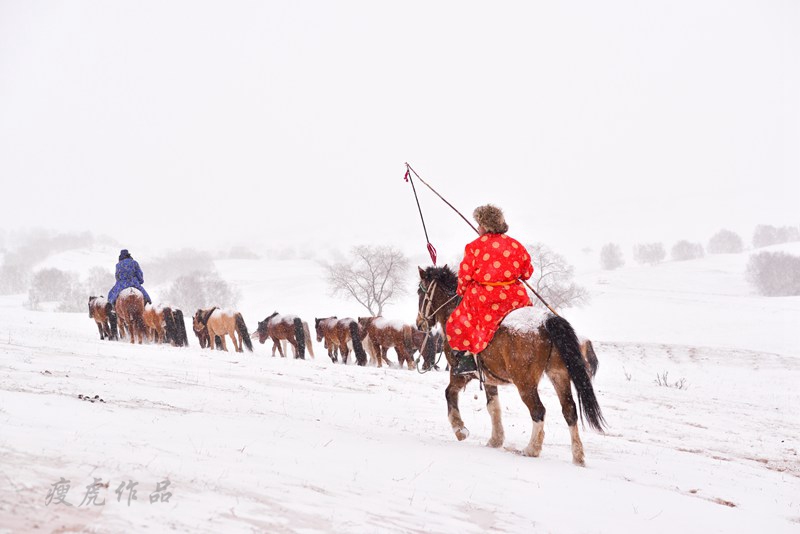 dsc_1174-cc-1-xc1.jpg