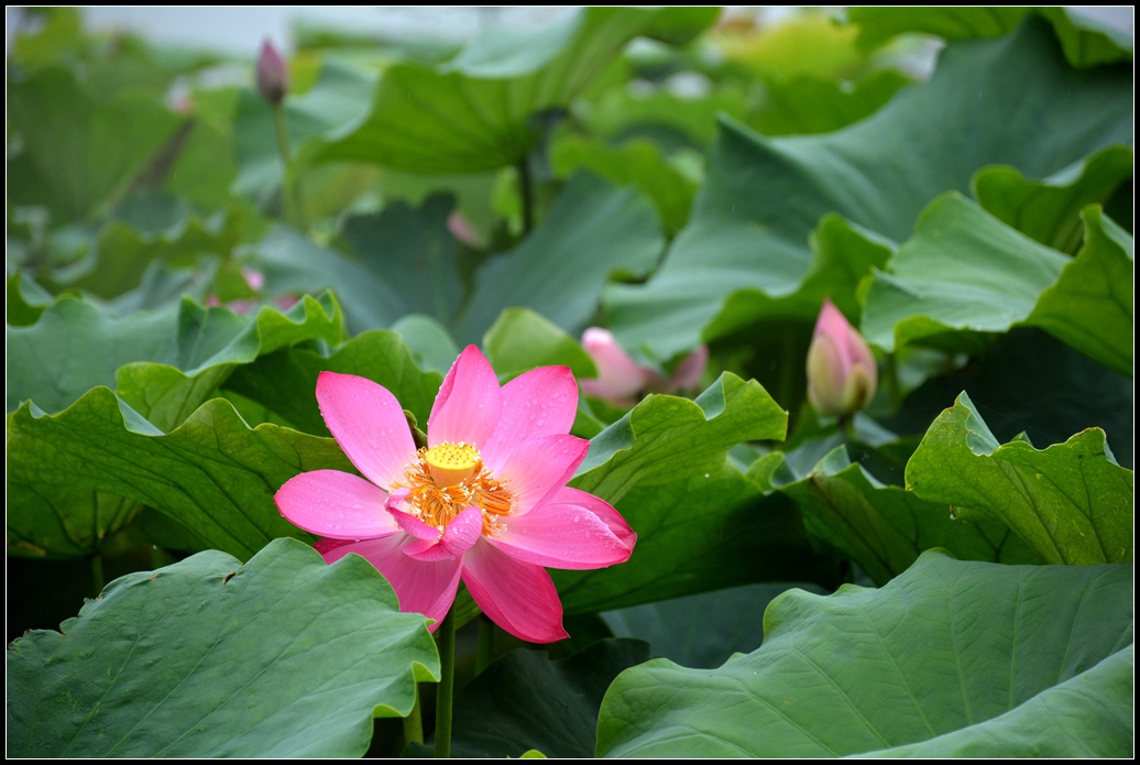 DSC_9863_.jpg