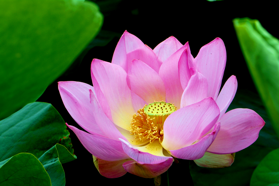 nEO_IMG_DSC_3863.jpg