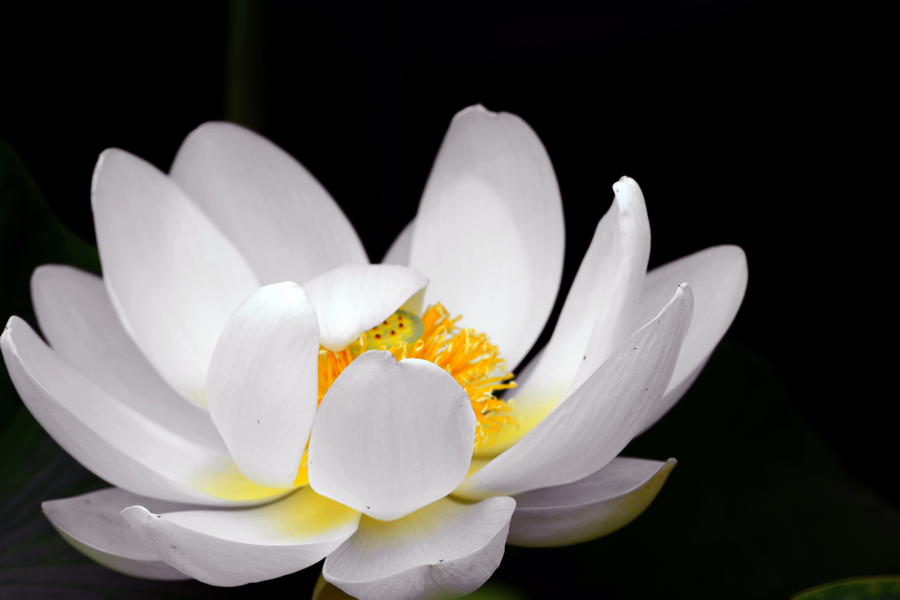 nEO_IMG_DSC_3885.jpg