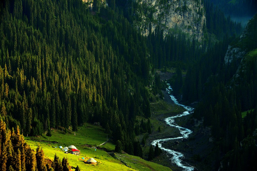 05.jpg