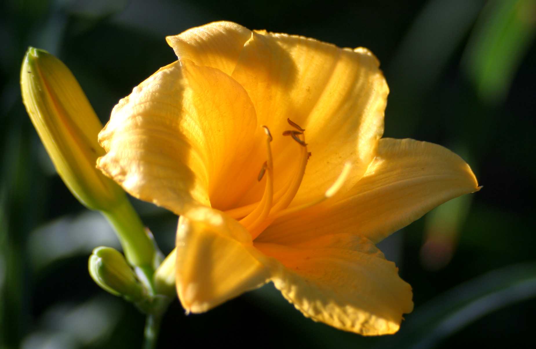 IMG_5128_.jpg