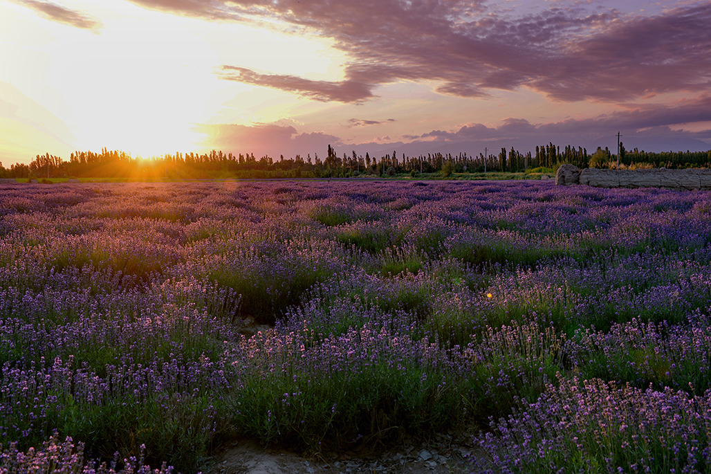 DSC_2073-1.jpg