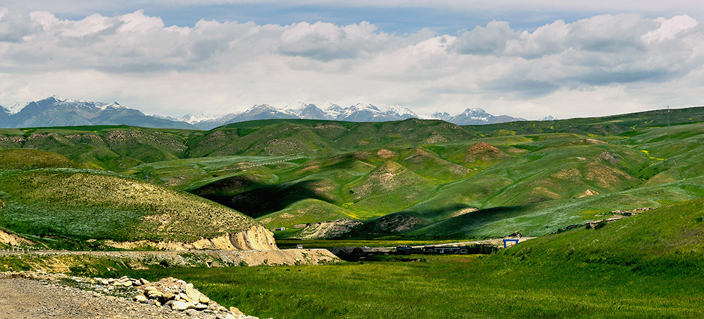 DSC_2165-1.jpg