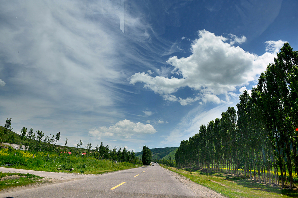 DSC_2185-1.jpg