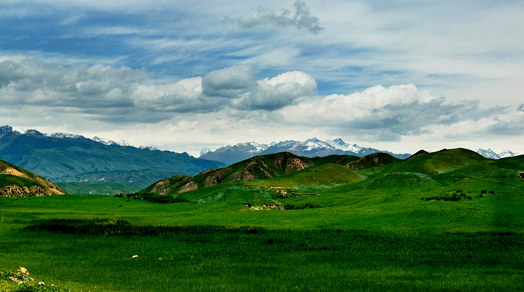 DSC_2175-1.jpg