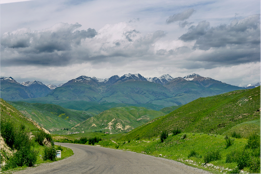 DSC_2178-1.jpg