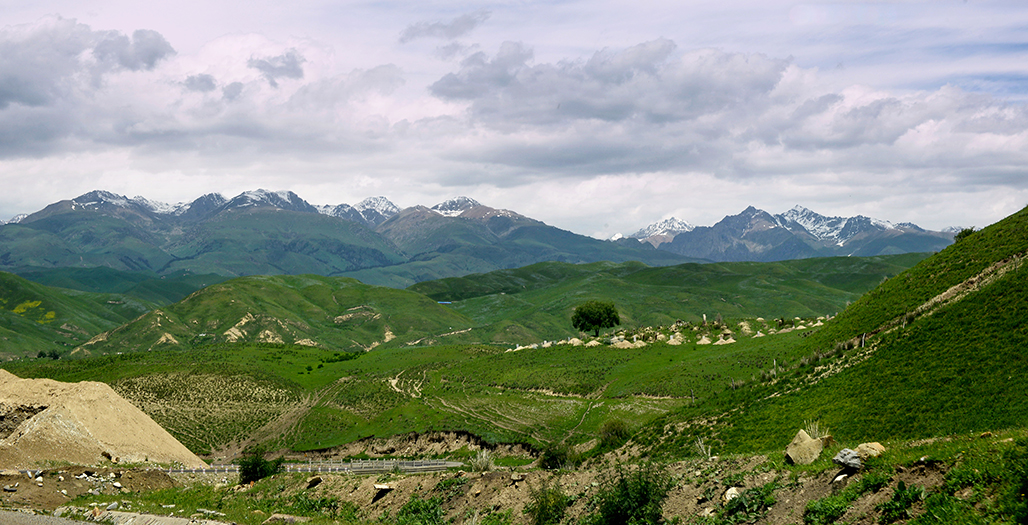DSC_2179-1.jpg